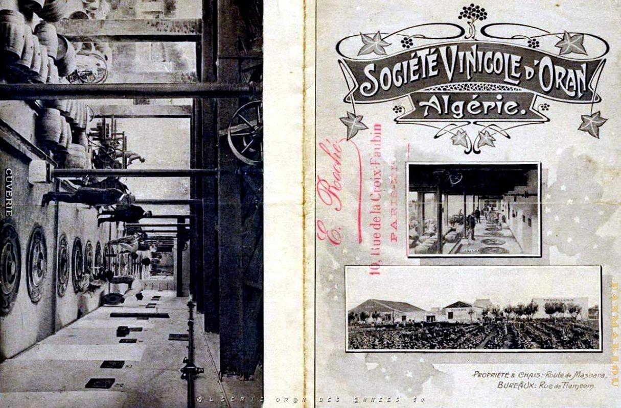 Oran Pub vins 247.jpg